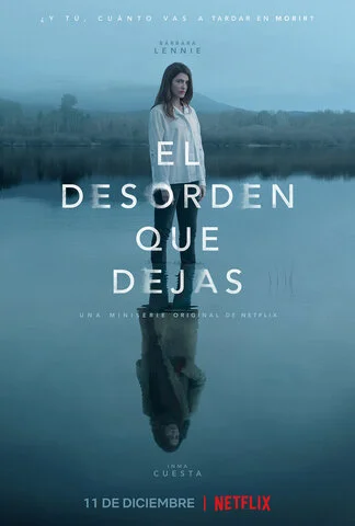 Беспорядок после тебя - постер сериала